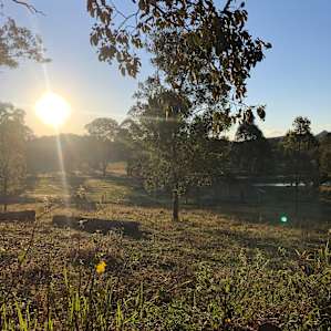 Buranga Farm