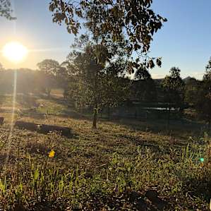 Buranga Farm