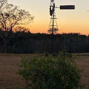 FigTree Camping with Amenities
