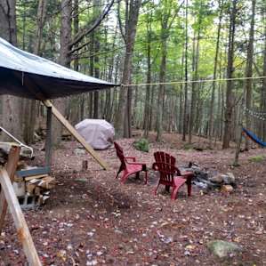 Camp in the Pines