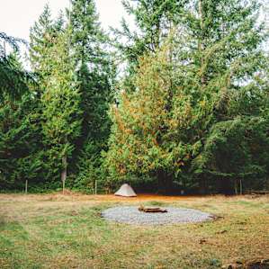 The camping area.