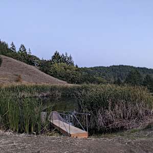 View of the pond at the camp site.