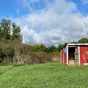 If ‘Rate Your Outhouse’ was a Twitter feed, this one would get a 10!
