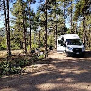 51 Forested Acres w/ Horses