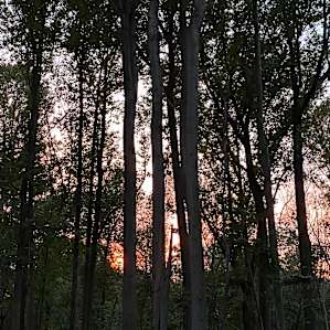 Camp Ramblewood