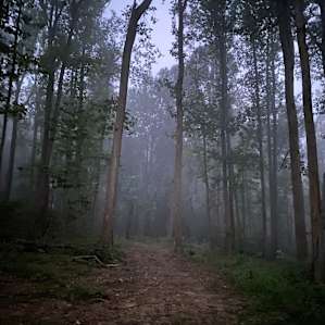 Camp Ramblewood