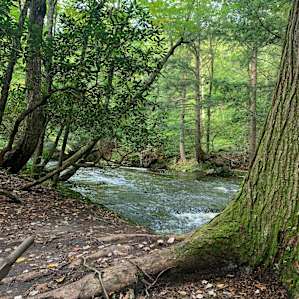 Taino Woods River Sites Only