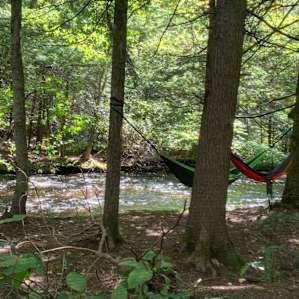 Taino Woods River Sites Only