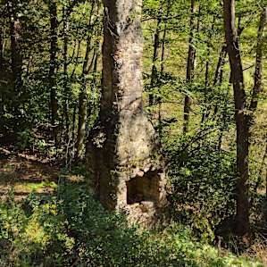 Chimney from old remains.