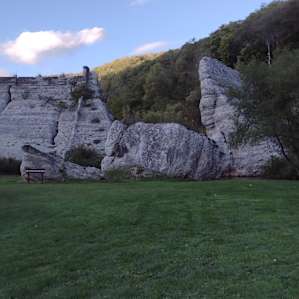 Remains of old dam.