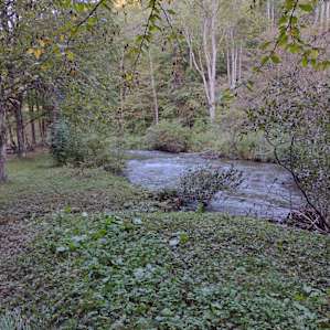 Creek along the campsites.