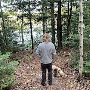 The view from the cabin (man & puppy not included)
