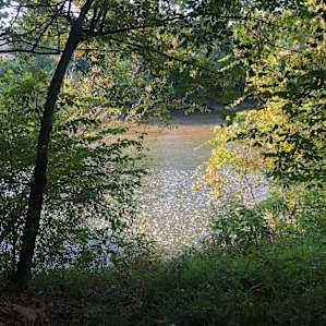 Riverside Retreat