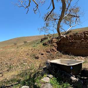 Wombat Creek Camp