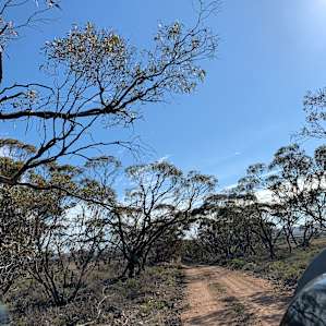 Wombat Creek Camp
