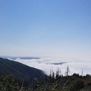 Camping at Harrison Serenity Ranch
