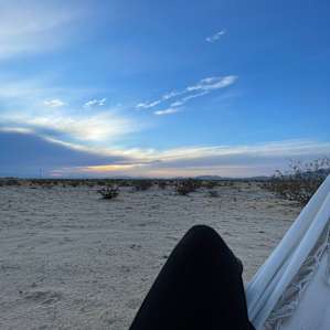 Our Desert Domestead