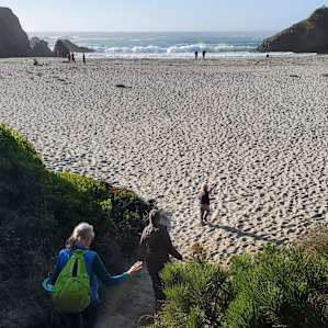 Walk to the beach
