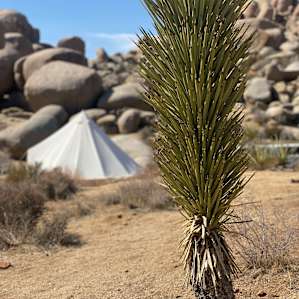 18 Foot Bell Tent