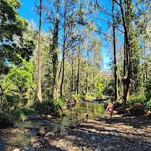 The Knoll- Waterhole