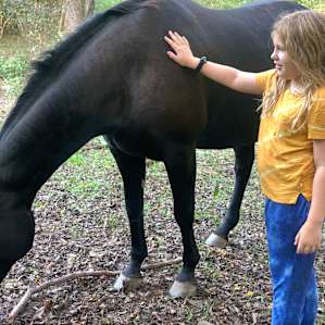 Tent Camping on 93 acre Horse Farm