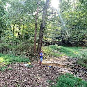 Tent Camping on 93 acre Horse Farm