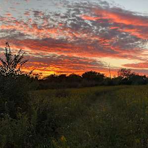 R&L Farm