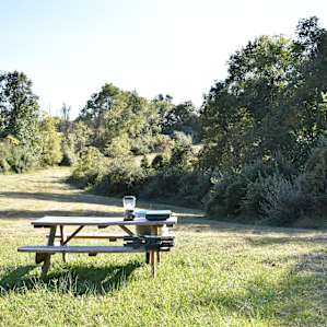 Some sites have picnic tables--so convenient!