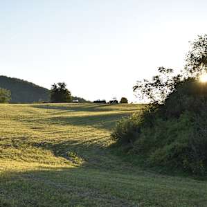 Tent Camping with Vineyard views