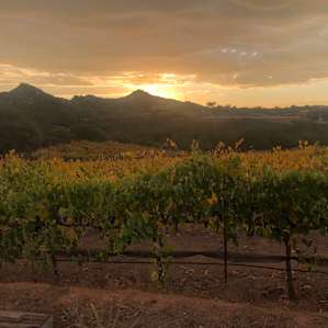 The views from the tasting room patio