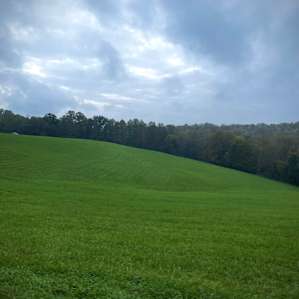 Next 7 Organic Farm Campsite #1.