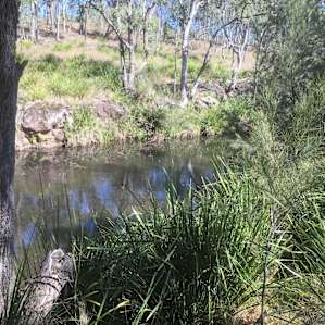 Water hole in the creek