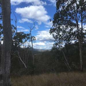 View from one of the hiking tracks