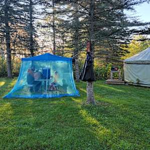 Yurt in the Pines