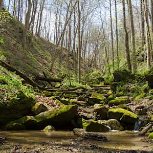 Shades State Park