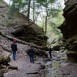 Hiking through Turkey Run State Park.
