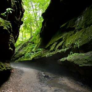 Hiking through Turkey Run State Park.