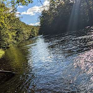 Neversink Sanctuary
