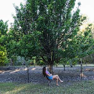 Krishna farm - Nature's paradise !