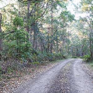 Krishna farm - Nature's paradise !