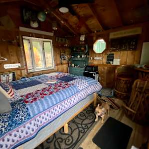 Little Cabin with a view