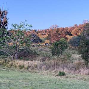 Foggy Lookout #05 - Warrego View