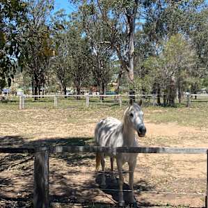 Foggy Lookout #05 - Warrego View