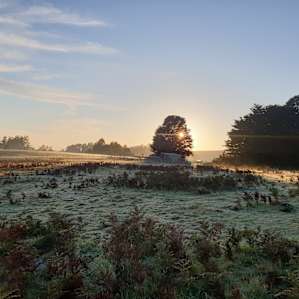 Farm Cradle Country Plateau (4WD)