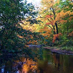 The river through Susan's property