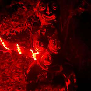 Creature Camp