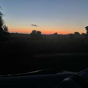 Morning view!