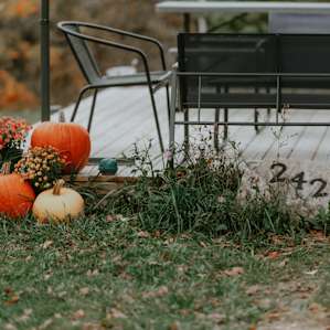 Seasonal details!