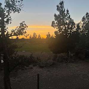 Gorgeous sun
