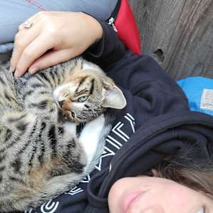 Maybe the best thing about this site was snuggling with this kitten who became our best friend immediately.